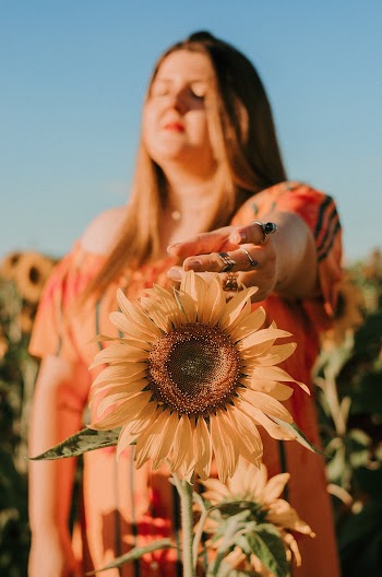 Close-Up Photo of Sunflower