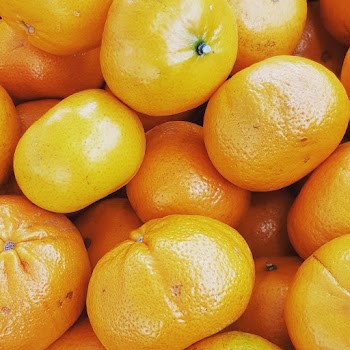 Close-Up Photo of Tangerines