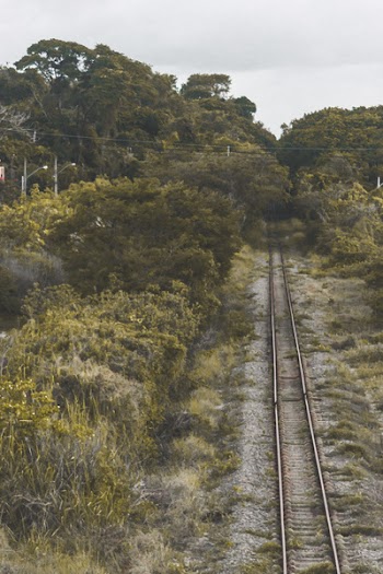 Close Up Photo of Train Railings in Between Trees