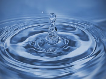 Close-up Photo of Water Drop