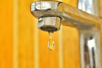 Close-Up Photo of Water Drop