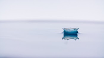 Close-Up Photo of Water Drop