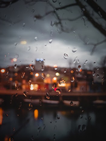 Close-Up Photo of Water Droplets