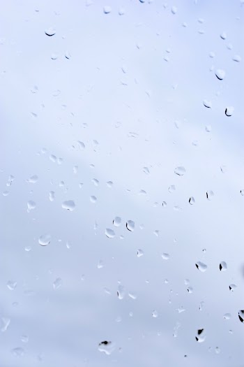 Close-Up Photo of Waterdrops