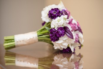 Close-Up Photo of White And Violet Flowers