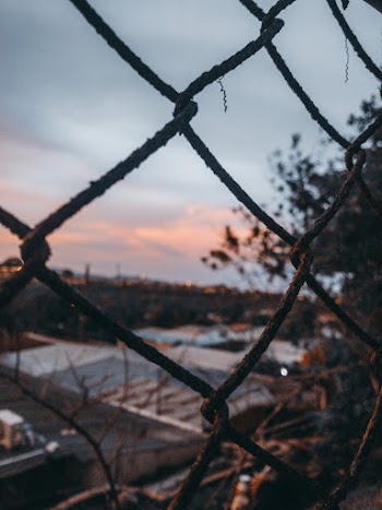 Close-Up Photo of Wire Mesh