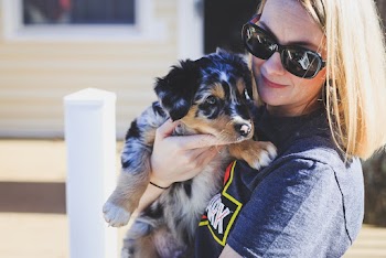 Close-Up Photo of Woman Carrying Dog