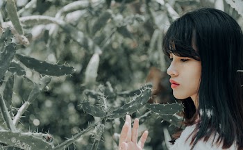 Close-up Photo of Woman Holding Cactus Plant