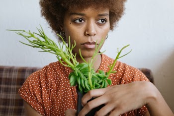 Close-Up Photo Of Woman Holding Plant