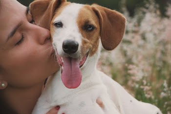 Close-Up Photo of Woman Kissing A Dog