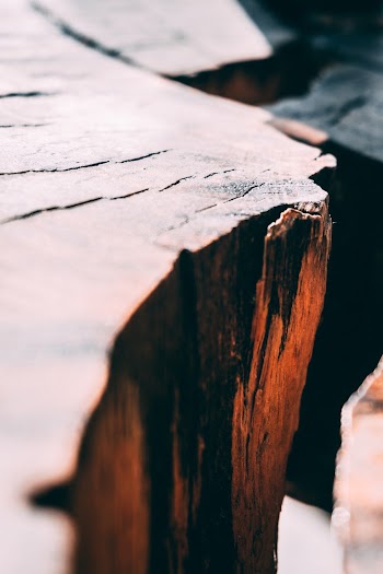 Close-up Photo of Wood