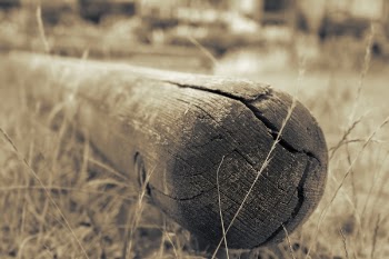 Close Up Photo of Wood Lumber