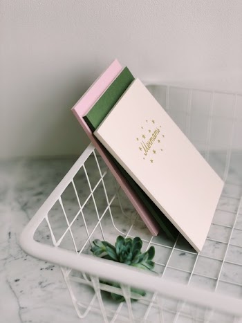 Close Up Photograph of White Rack With Books and Succulent Plant