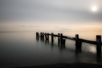 Close Up Photograph Wooden Bridge over Body of Water