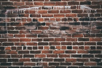 Close-up Photography of a Wall