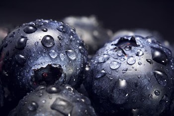 close-up photography of blackberries with dewdrops
