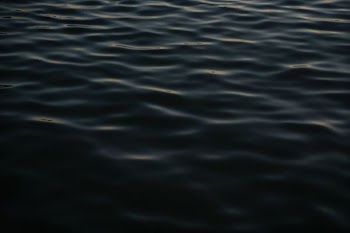 close up photography of body of wat er