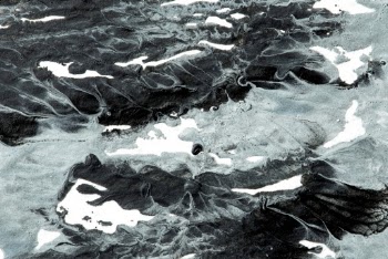Close-up Photography of Body of Water