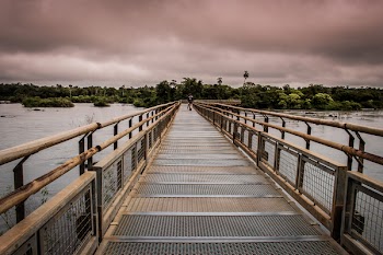 Close-up Photography of Bridge Above Water