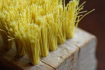 Close-up Photography of Brown and Yellow Brush