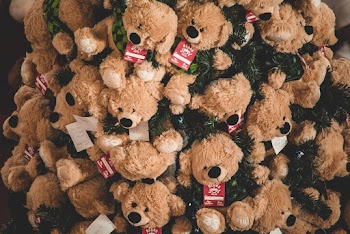 Close-up Photography of Brown Bear Plush Toy Lot