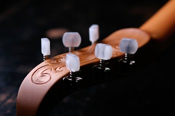 Close-up Photography of Brown String Instrument Headstock