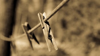 Close-up Photography of Brown Wooden Clip
