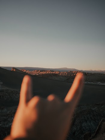Close-up Photography of Fingers