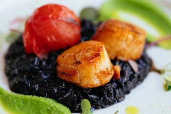 Close-up Photography of Fried Food
