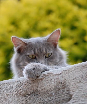 Close-up Photography of Gray on Gray Concrete Surface