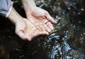 Close-Up Photography of Hands With Water