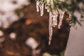 Close-Up Photography of Icicles