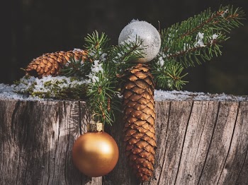 Close-up Photography Of Pine Cones And Bauble