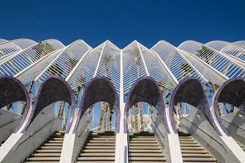 Close-up Photography of Purple and White Concrete Stair Stepper