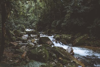 Close-up Photography of River