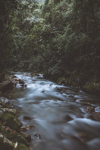 Close-up Photography of River