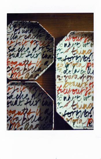 Close-up Photography of Trays