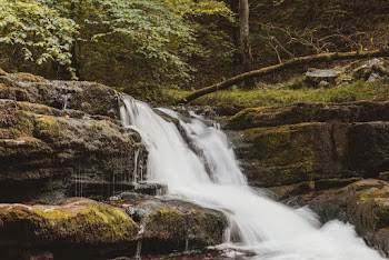 Close-up Photography of Waterfalls