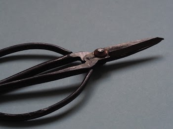 Close-up Photography Scissors