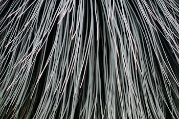 close-up photography white strands