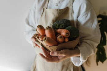 Close-Up Shot of a Person Holding Assorted Vegetables · Free Stock Photo