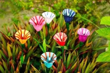 Close-Up Shot of Blooming Colorful Flowers