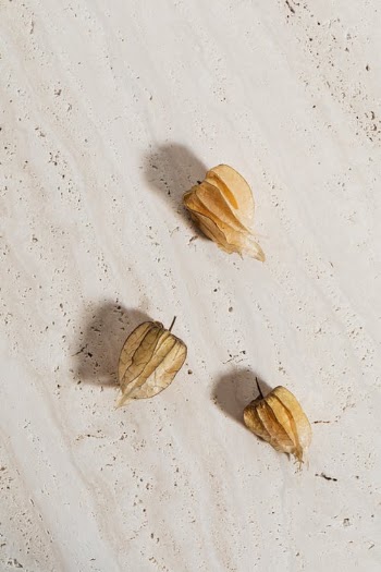Close-Up Shot of Dry Leaves on a White Surface · Free Stock Photo