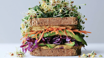 Close-Up Stacked Vegetarian Sandwich with Fresh Ingredients