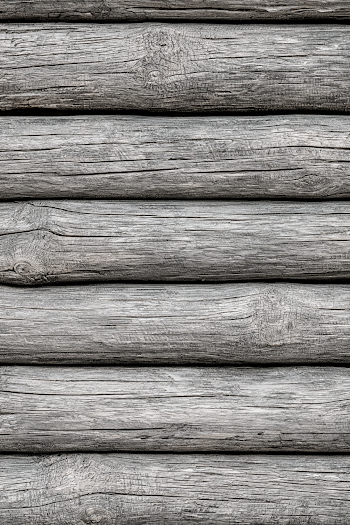 Close-up Texture of Weathered Log Cabin Wall