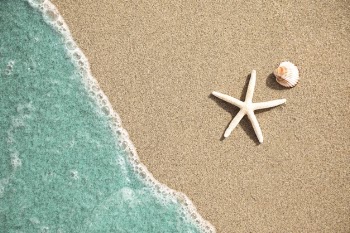 Close-up top view of water on tropical sandy beach Free Photo