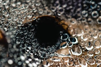 Close-Up View Of Bubbles