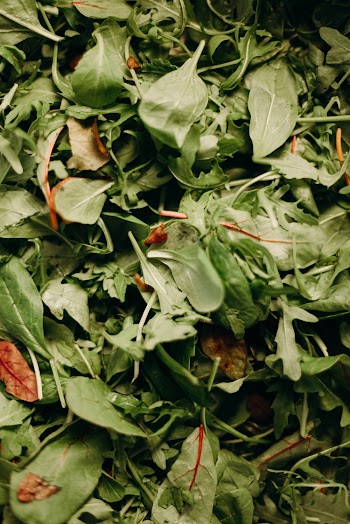 Close-Up View Of Green Leaves Of Vegetable