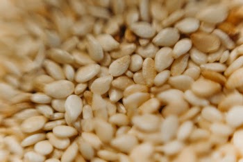Close-Up View Of Seeds