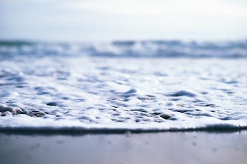 close view of seashore